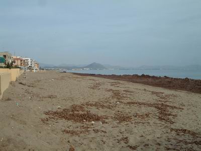 DSCF0022.JPG